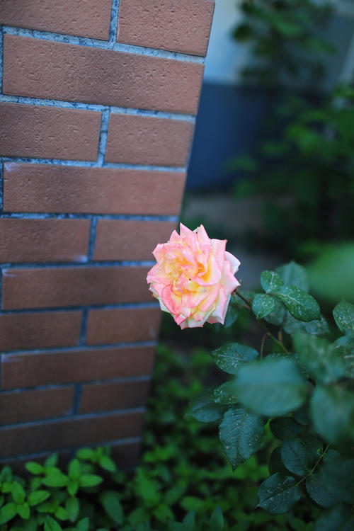 季节性的