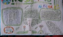 我心中的低碳生活