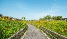 人生之美莫过于宽容