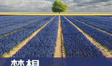 做一个更好的自己