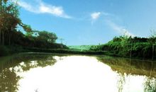 家乡小溪的一年四季