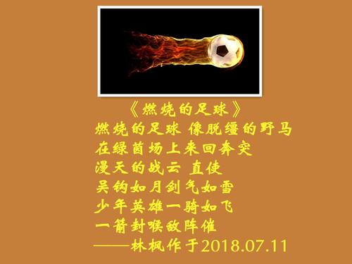 诗歌点燃了我