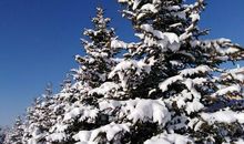 我们与雪有个约定