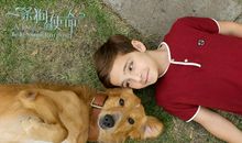 《一条狗的使命》观后感