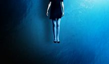 今年春天我不再彷徨