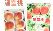 我真想品尝幸福的滋味