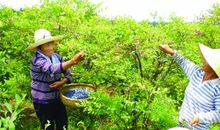 享受洗袜子的乐趣