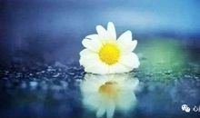 让等待走进心灵