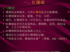 生命的宝藏时间