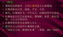 生命的瑰宝时间