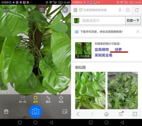 微妙的智慧