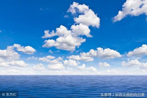飞翔在理想的天空中