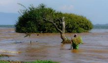 善于欣赏美就在身边