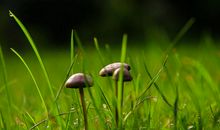 校园的雨后清晨