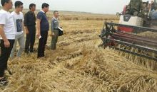 “跟头”中的收获