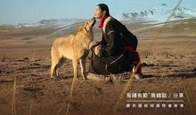 飘在腾格里上空的狼云——电影《狼图腾》观后感