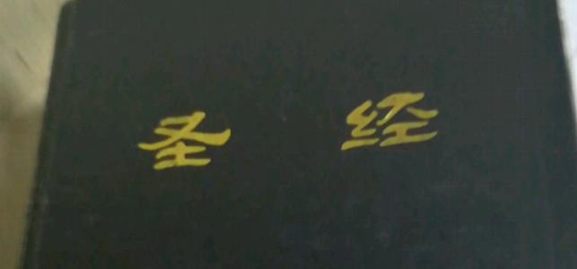 见到你是阳光明媚的