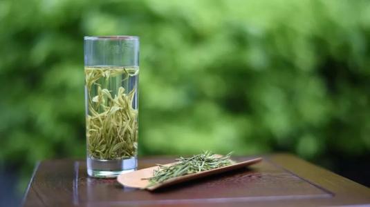 茶叶的生活很棒