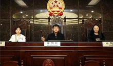 共做宪法的执行者