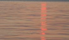 其实，我也很想飞得更高