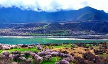 平静是一剂良药