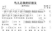 网络是我的好朋友