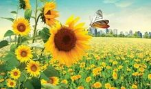 感悟昨天和今天