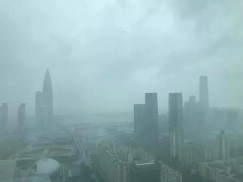 雨水中最美丽
