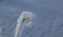 让冬天走进心灵