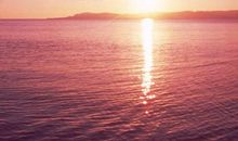 自我成长静候阳光