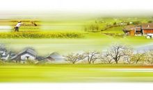 乡村四季图