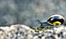 放下包袱，才能走到更远