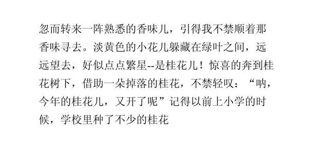 另一个论文
