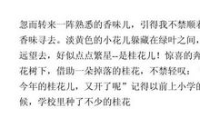 又是桂花飘香时作文