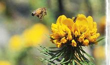 春一个生机勃勃的季节