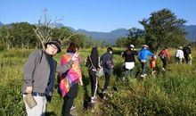 难忘的神农架之旅