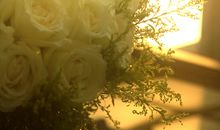 藏在心中的那份温暖