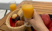 听任自然让美留存