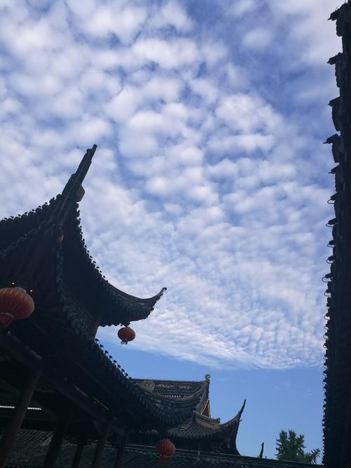 南天