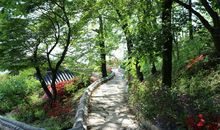 见证历史的奇迹