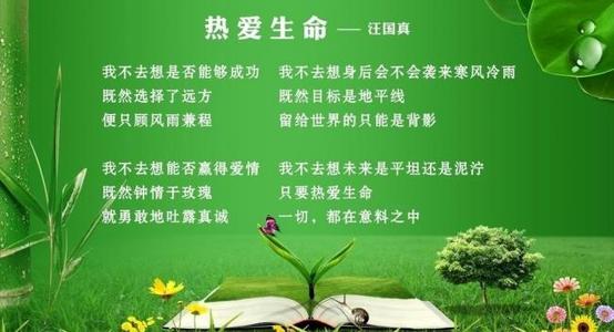 语言语言