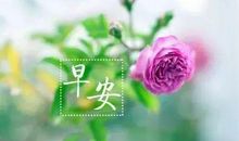 新的一天开始了