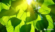 原来，爱一直都在