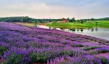 我爱美丽的当阳