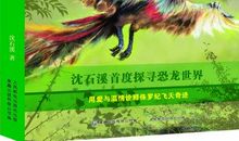 《五彩龙鸟》读后感