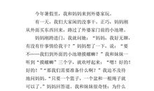 什么里的新鲜事作文