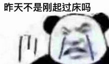 不想昨天
