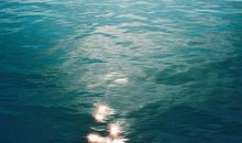 让心灵的尘垢随风而去