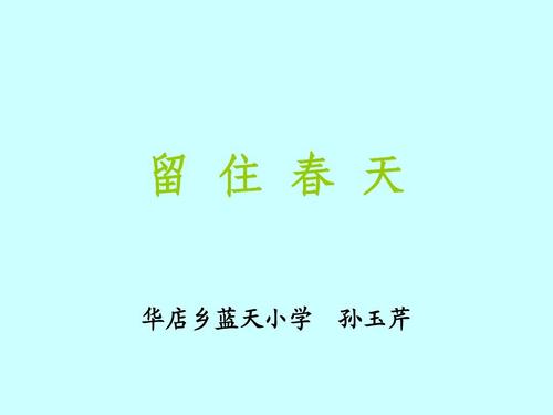 保持弹簧组成