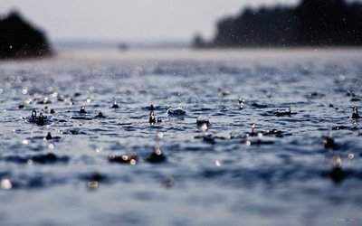 诗意的雨
